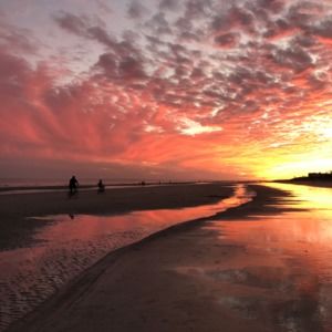 Meet your Posher, Frances